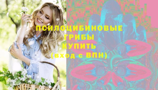 каннабис Майский