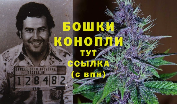каннабис Майский