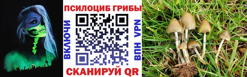 площадка Telegram  Туринск  Галлюциногенные грибы ЛСД  купить наркоту 