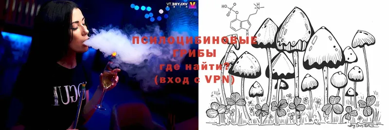 Псилоцибиновые грибы MAGIC MUSHROOMS  hydra   Туринск 